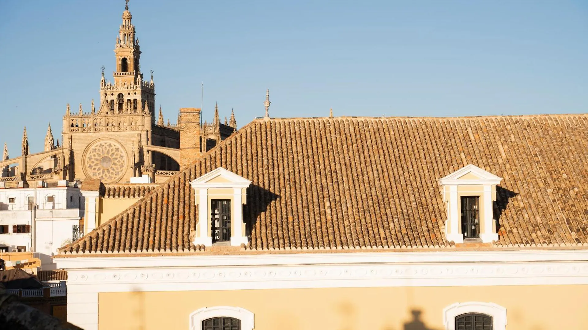 Petite California Dos De Mayo Seville