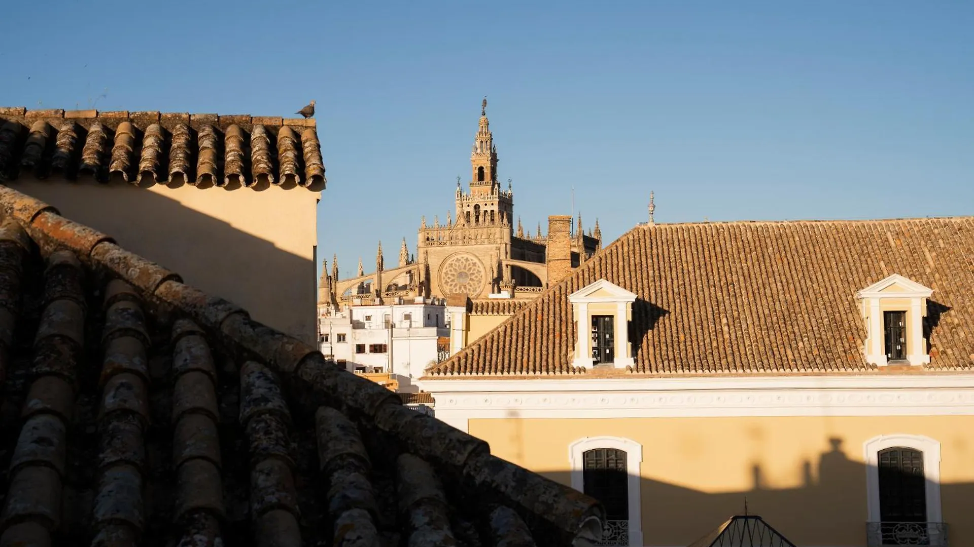 Petite California Dos De Mayo Seville Apartment
